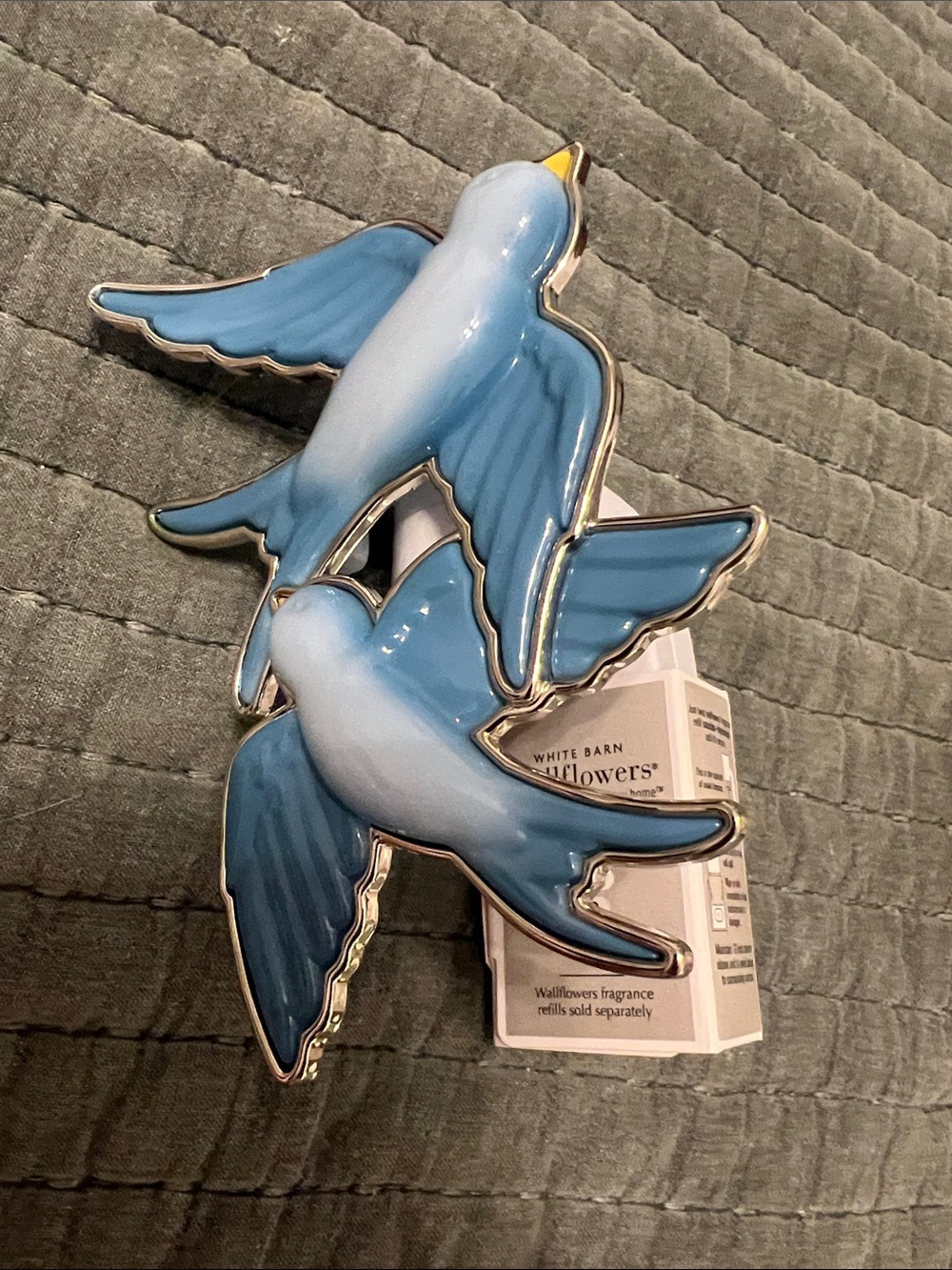 Wallflower bluebirds new
